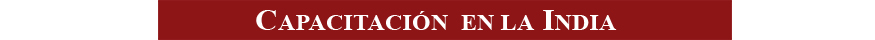 capacitacion india